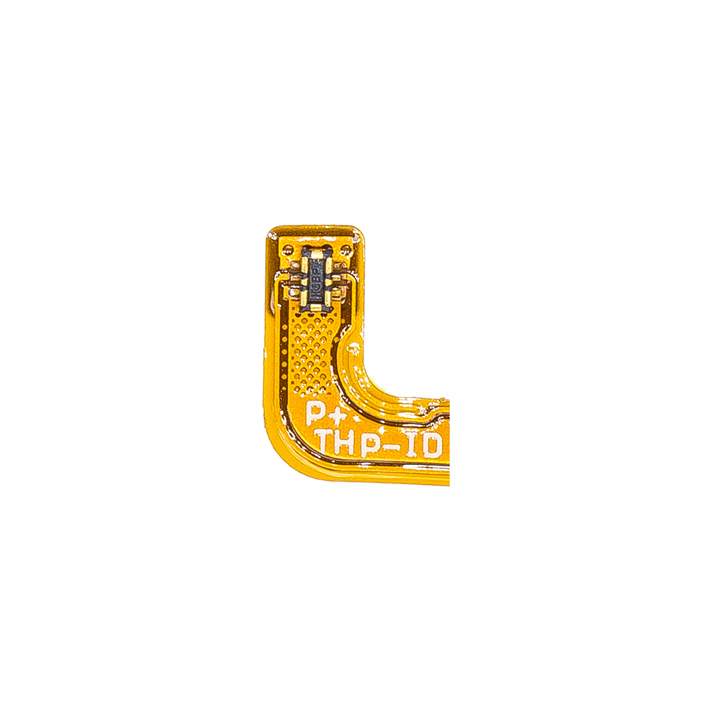9097-1.jpg