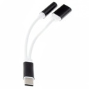 Adaptateur audio 2 EN 1 - Fonction de chargement stéréo USB de type C (USB-C) à 3,5 mm